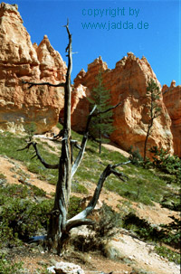 Bryce Canyon - USA